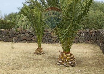 Giardino - Appartamento Localita Kuddia Bruciata, Pantelleria - foto 22