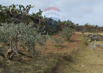 Vista delle montagne - Appartamento Localita Kuddia Bruciata, Pantelleria - foto 45