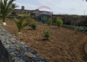 Giardino - Appartamento Localita Kuddia Bruciata, Pantelleria - foto 48