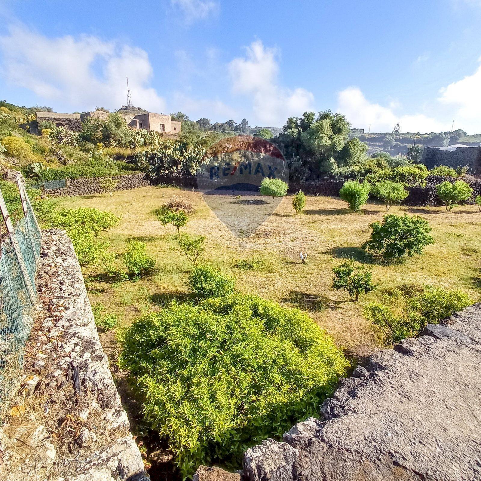 Giardino - Terreno edificabile Località Bonsulton, Pantelleria - foto 3