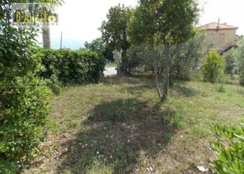 Foto 7 - Casa indipendente Contrada San Lazzaro, Offida - foto 7