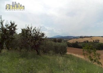 Foto 9 - Casa indipendente Contrada San Lazzaro, Offida - foto 9