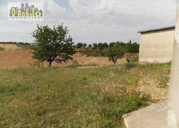 Foto 10 - Casa indipendente Contrada San Lazzaro, Offida - foto 10