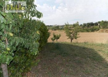 Foto 11 - Casa indipendente Contrada San Lazzaro, Offida - foto 11