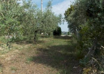 Foto 13 - Casa indipendente Contrada San Lazzaro, Offida - foto 13