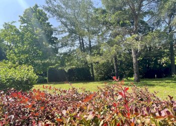 Foto 20 - Casa indipendente Cairo Montenotte - foto 20