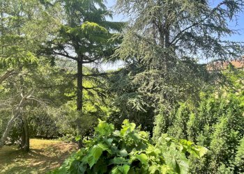 Foto 63 - Casa indipendente Cairo Montenotte - foto 63