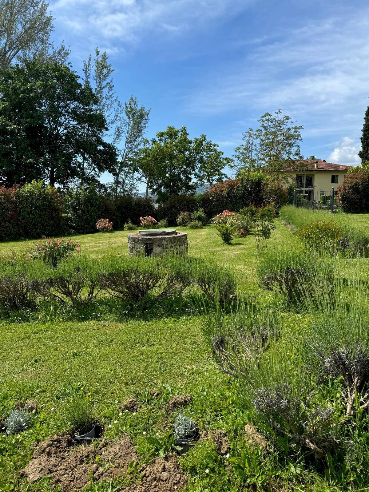 Foto 2 - Farm VIA NAZIONALE
 
28, Bibbiena - photo 2