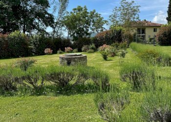 Foto 2 - Azienda agricola VIA NAZIONALE
 
28, Bibbiena - foto 2