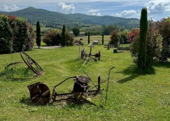 Foto 4 - Azienda agricola VIA NAZIONALE
 
28, Bibbiena - foto 4