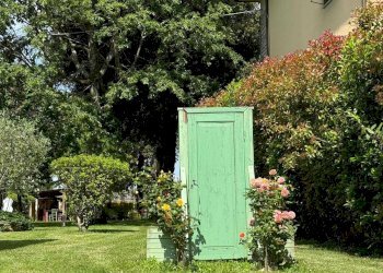 Foto 5 - Azienda agricola VIA NAZIONALE
 
28, Bibbiena - foto 5