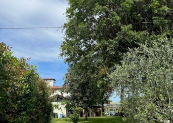 Foto 12 - Azienda agricola VIA NAZIONALE
 
28, Bibbiena - foto 12