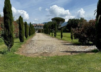 Foto 38 - Azienda agricola VIA NAZIONALE
 
28, Bibbiena - foto 38