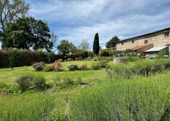 Foto 39 - Azienda agricola VIA NAZIONALE
 
28, Bibbiena - foto 39