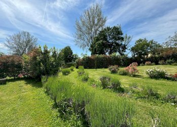 Foto 44 - Azienda agricola VIA NAZIONALE
 
28, Bibbiena - foto 44