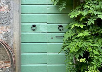 Foto 54 - Azienda agricola VIA NAZIONALE
 
28, Bibbiena - foto 54