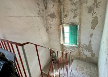 Foto 59 - Azienda agricola VIA NAZIONALE
 
28, Bibbiena - foto 59