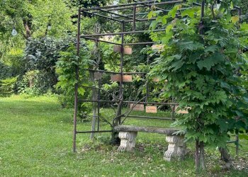 Foto 71 - Azienda agricola VIA NAZIONALE
 
28, Bibbiena - foto 71