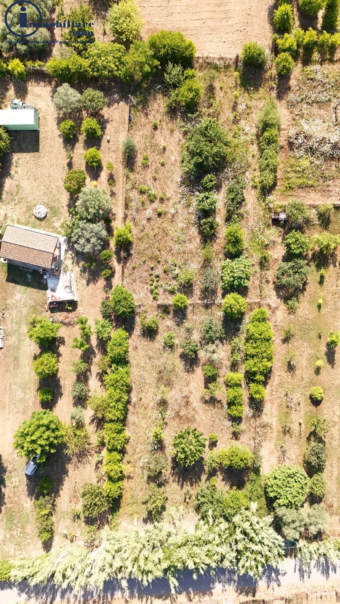 Foto 1 - Agricultural land Località Is Padula, Tortolì - photo 1