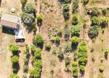 Foto 1 - Agricultural land Località Is Padula, Tortolì - photo 1