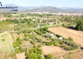 Foto 6 - Agricultural land Località Is Padula, Tortolì - photo 6