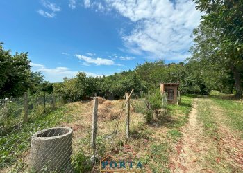 Foto 25 - Casa indipendente Borgata Prà del Pozzo
 
8, Clavesana - foto 25