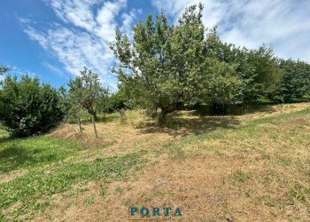 Foto 32 - Casa indipendente Borgata Prà del Pozzo
 
8, Clavesana - foto 32