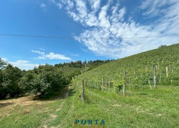 Foto 33 - Casa indipendente Borgata Prà del Pozzo
 
8, Clavesana - foto 33