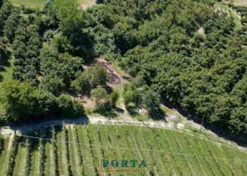 Foto 48 - Casa indipendente Borgata Prà del Pozzo
 
8, Clavesana - foto 48