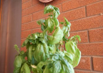 Foto 38 - Quadrilocale Via Sicilia
 
4, Campomarino - foto 38