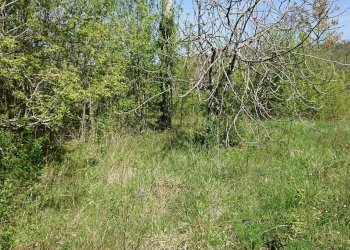 Foto 15 - Trilocale Via Turanense
 
49, Belmonte in Sabina - foto 15