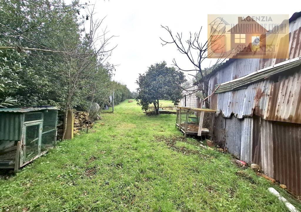Terreno - Magazzino via dei Colli, Signa - foto 3