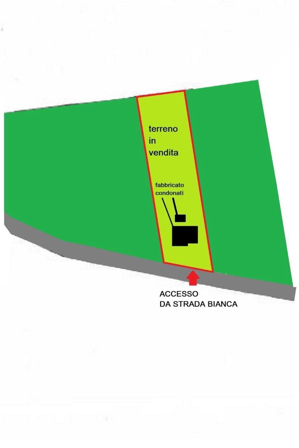 Magazzino via dei Colli, Signa - planimetria 1