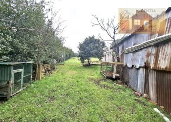 Terreno - Magazzino via dei Colli, Signa - foto 3