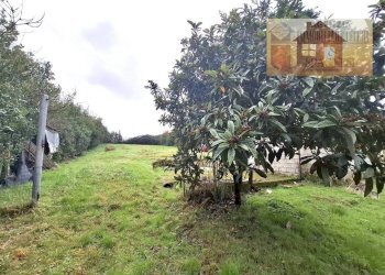 Terreno - Magazzino via dei Colli, Signa - foto 4