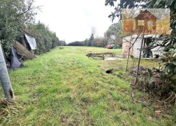 Terreno - Magazzino via dei Colli, Signa - foto 5