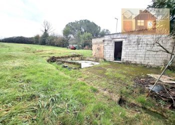 Terreno - Magazzino via dei Colli, Signa - foto 6