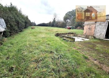 Terreno - Magazzino via dei Colli, Signa - foto 7