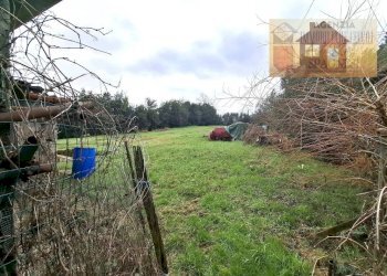 Terreno - Magazzino via dei Colli, Signa - foto 13