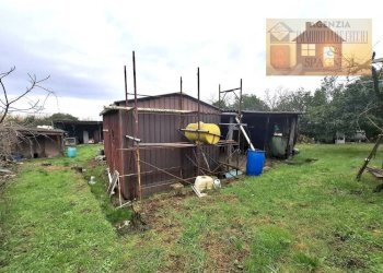 Terreno - Magazzino via dei Colli, Signa - foto 16