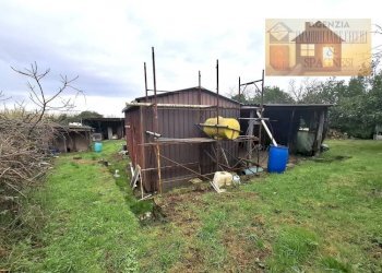 Terreno - Magazzino via dei Colli, Signa - foto 17