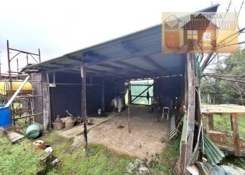 Terreno - Magazzino via dei Colli, Signa - foto 20