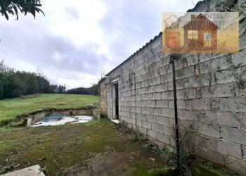 Terreno - Magazzino via dei Colli, Signa - foto 21