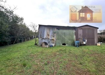 Terreno - Magazzino via dei Colli, Signa - foto 24