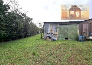 Terreno - Magazzino via dei Colli, Signa - foto 25