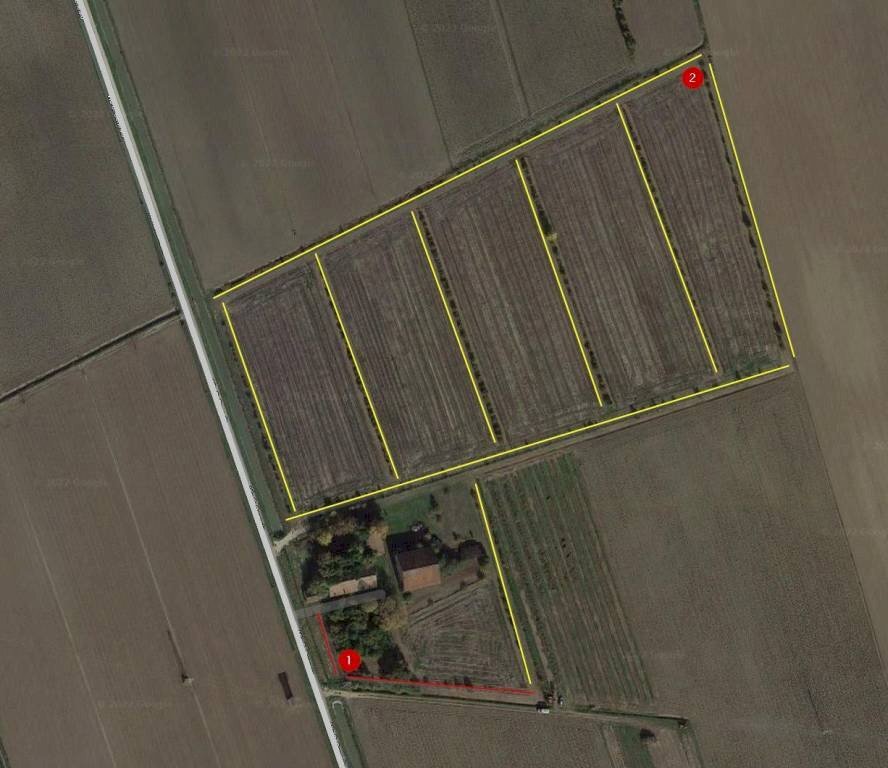 Terreno - Terreno agricolo via San Genesio, Stienta - foto 1