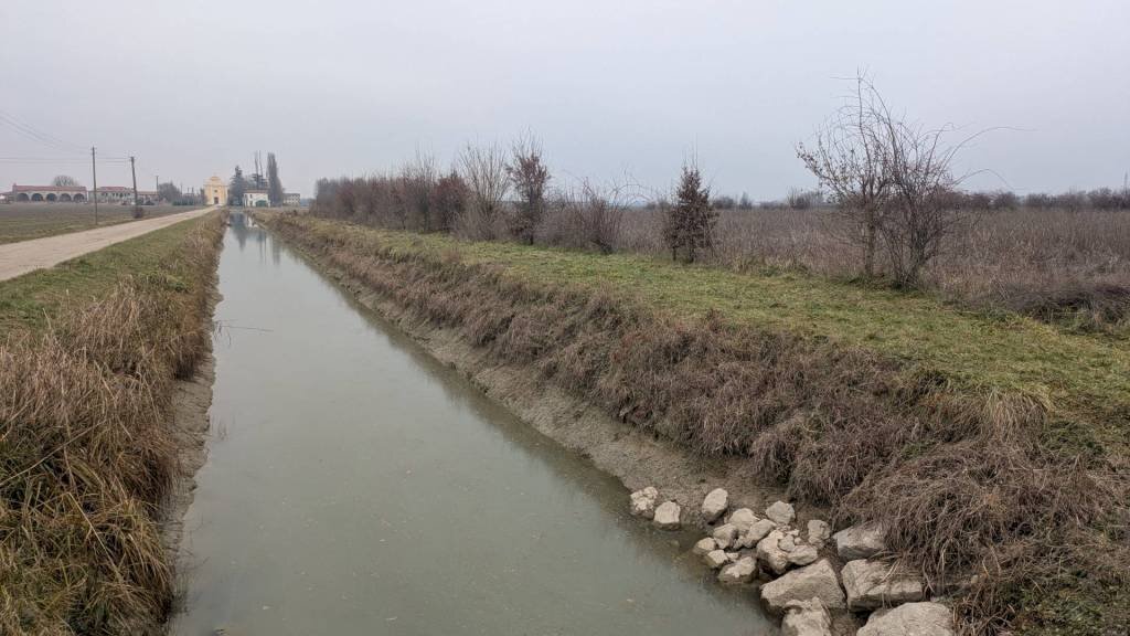 Terreno - Terreno agricolo via San Genesio, Stienta - foto 2