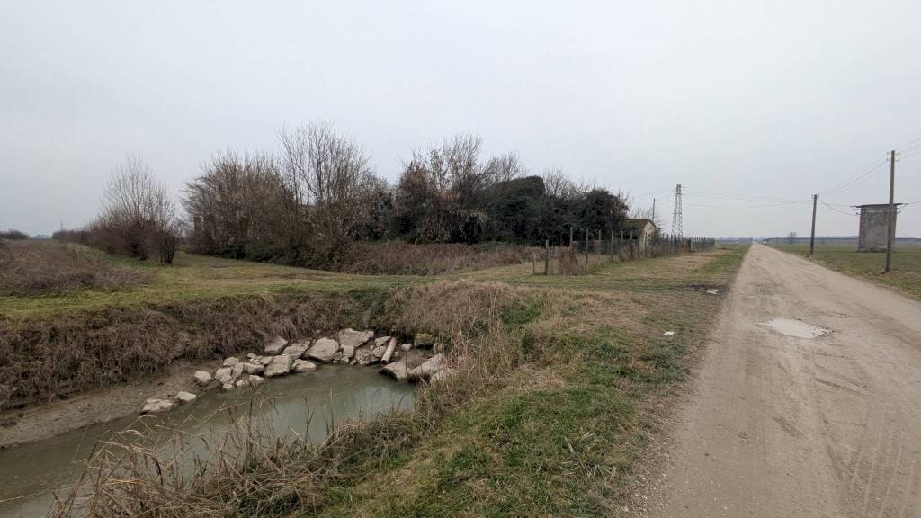Terreno - Terreno agricolo via San Genesio, Stienta - foto 3