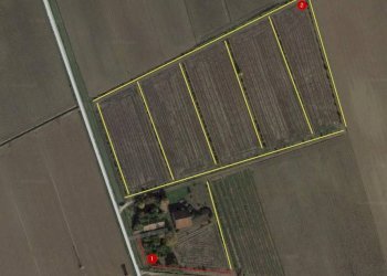 Terreno - Terreno agricolo via San Genesio, Stienta - foto 1