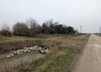 Terreno - Terreno agricolo via San Genesio, Stienta - foto 3